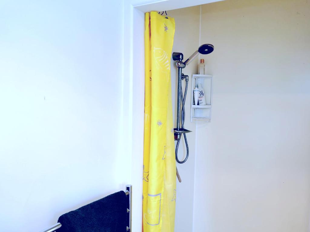 Separate Entry Guest Room with Private Bathroom in Forrest hill - Resim 9