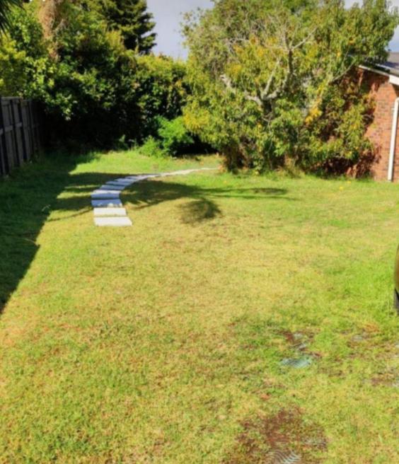 Separate Entry Guest Room with Private Bathroom in Forrest hill - Resim 10