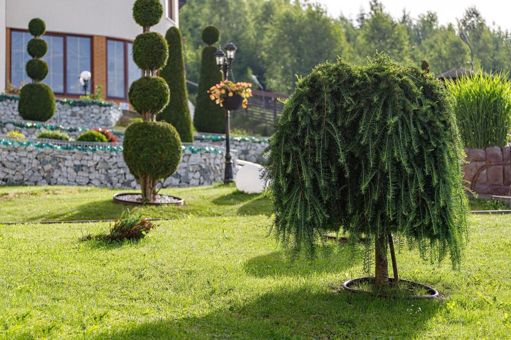 Zahrada ubytování Hotel Podgorie Spa