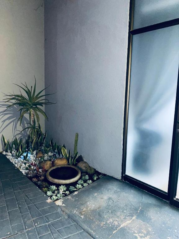 Fotografie z fotogalerie ubytování 23 On Jupiter v destinaci Polokwane