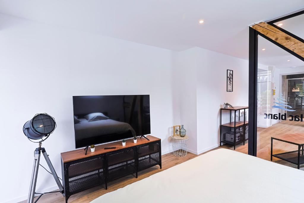 TV a/nebo společenská místnost v ubytování Appartements Les Vosges