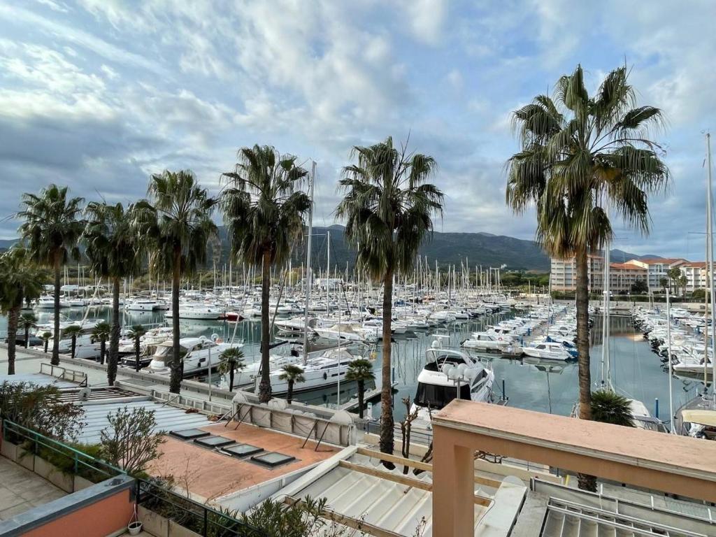 un port de plaisance avec de nombreux bateaux et palmiers dans l'établissement Appartement studio cabine - Argelès sur mer AR260-206, à Argelès-sur-Mer