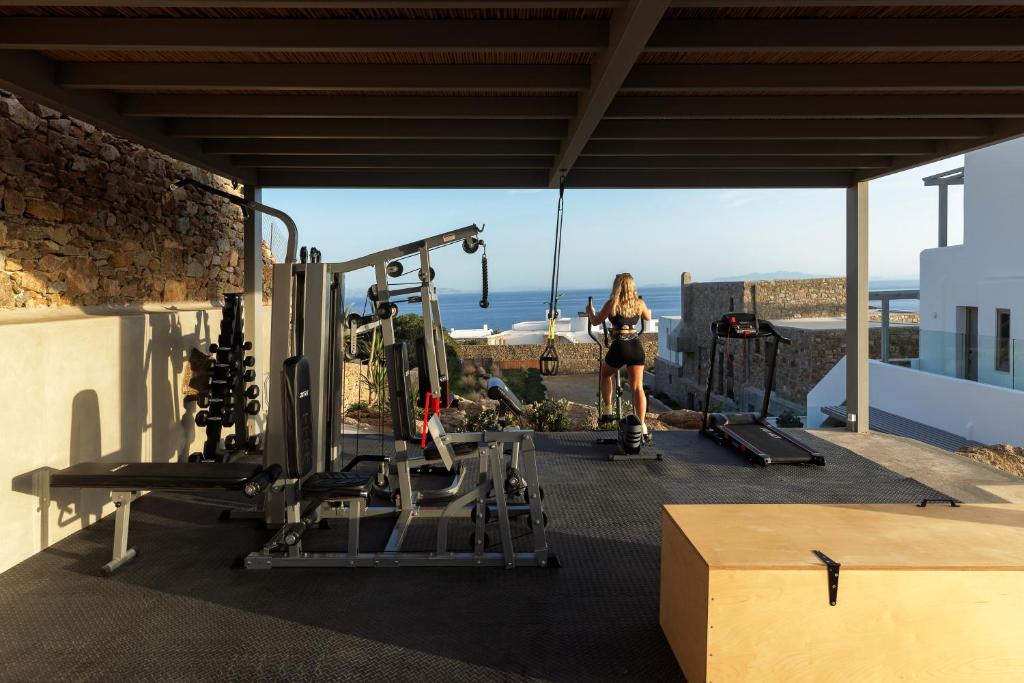 Fitness centrum a/nebo fitness zařízení v ubytování Ionic Suites