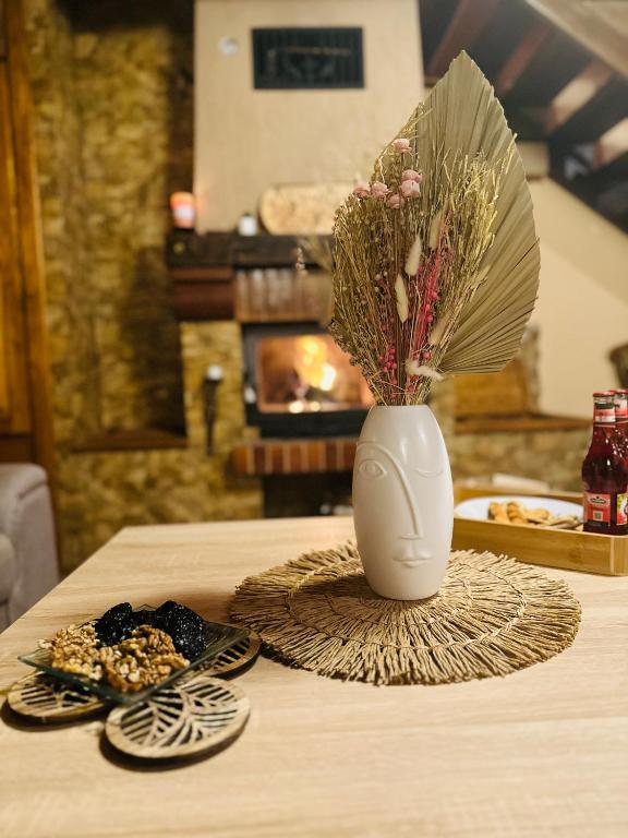 Fotografie z fotogalerie ubytování K&N vendégház v destinaci VoÅŸlobeni