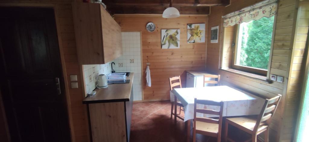 Kuchyňa alebo kuchynka v ubytovaní niezapominajka-jura