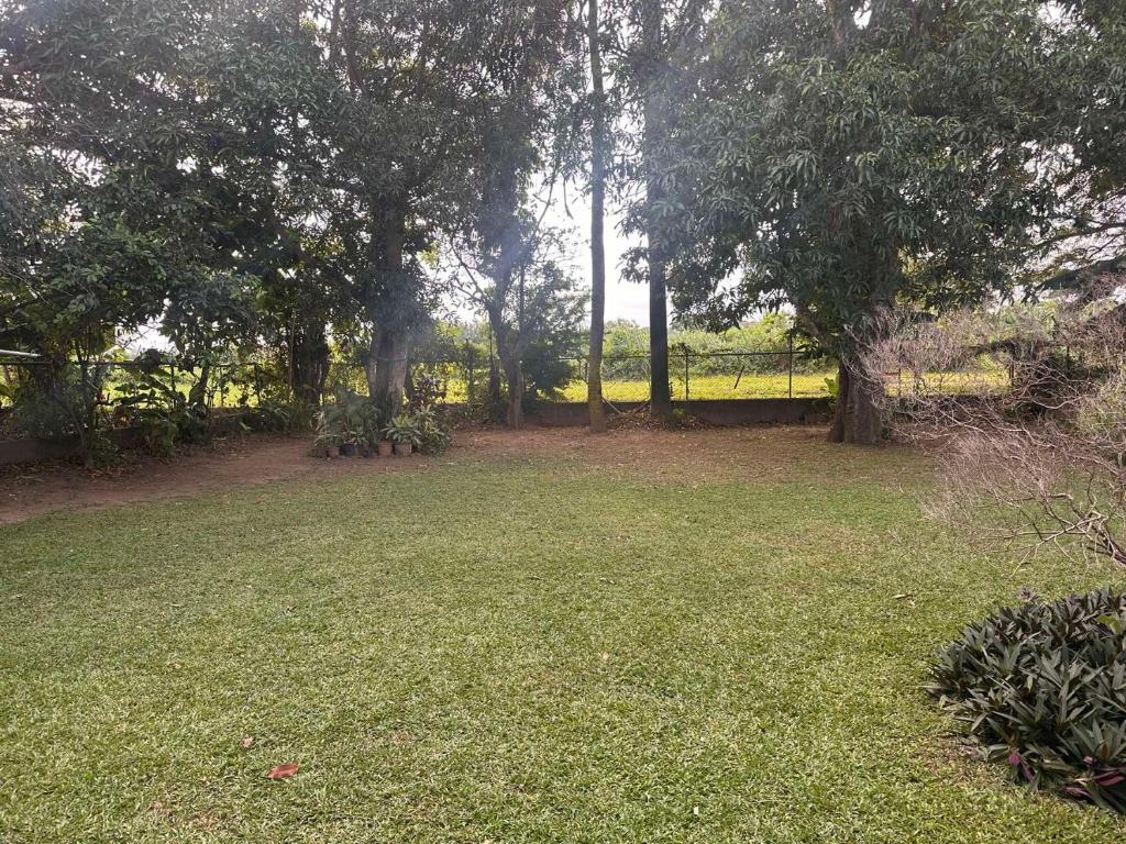 Zahrada ubytování Residence71Nadi Fiji