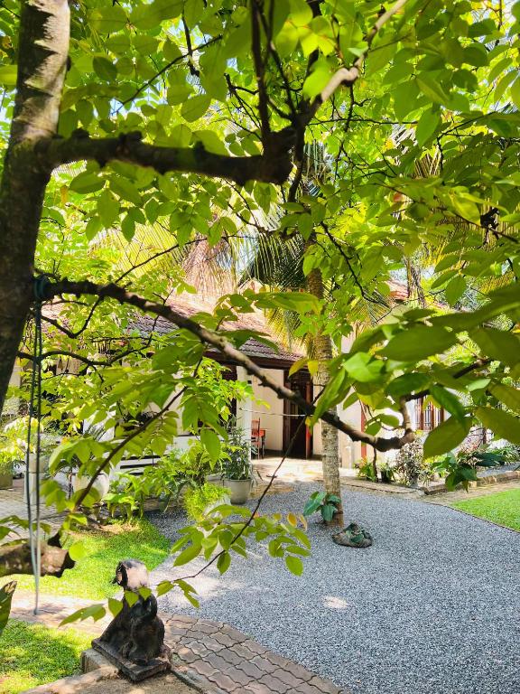 Zahrada ubytování Krishan Villa