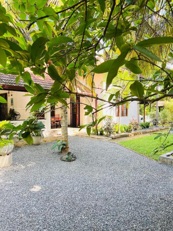 Zahrada ubytování Krishan Villa