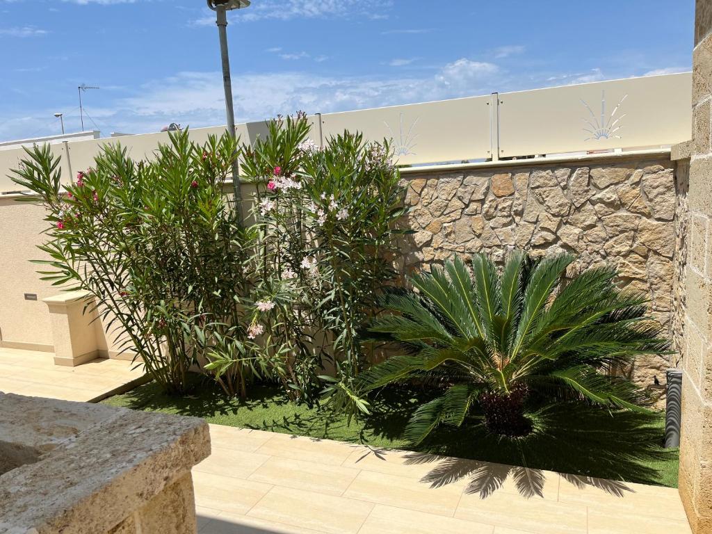 Zahrada ubytování Salento Appartamento Stella