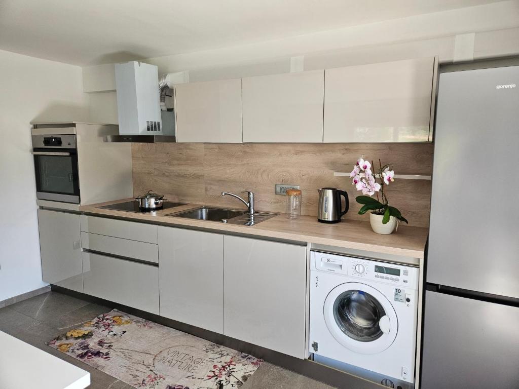 Kuchyň nebo kuchyňský kout v ubytování Apartmaji Rdeča Kapica