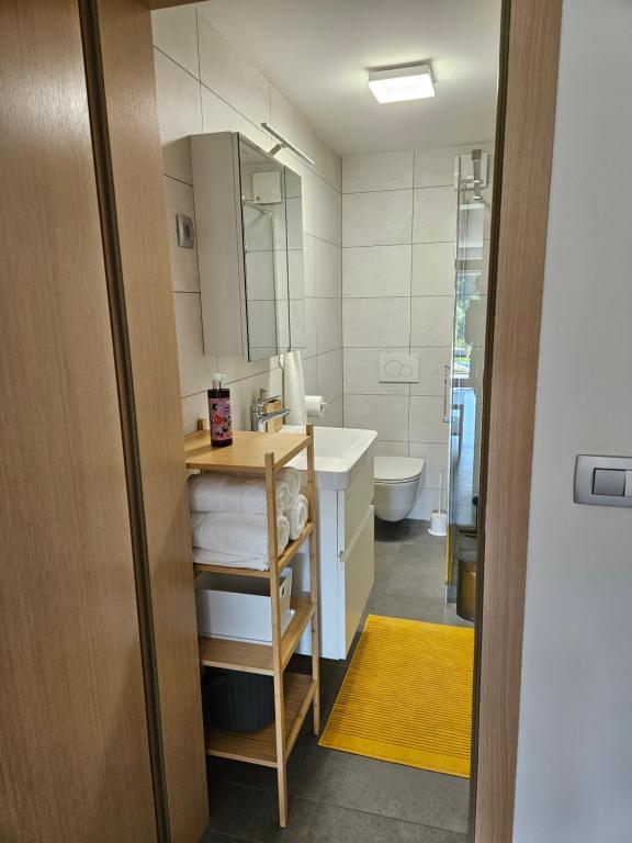 Koupelna v ubytování Apartmaji Rdeča Kapica