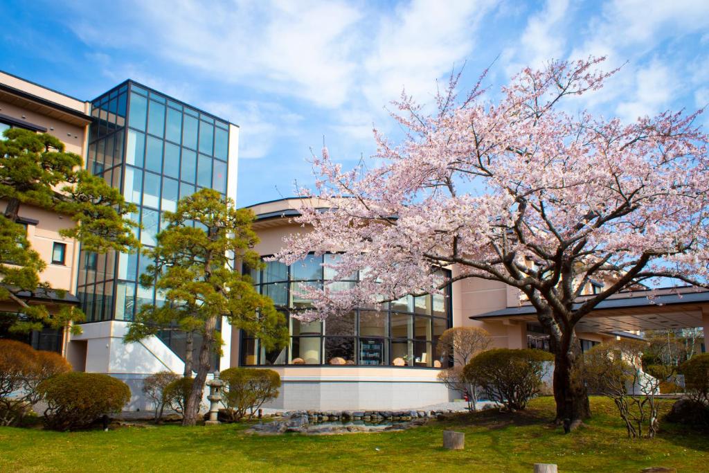 函館市にあるKKRhakodateの目の前に菖蒲の木がある建物