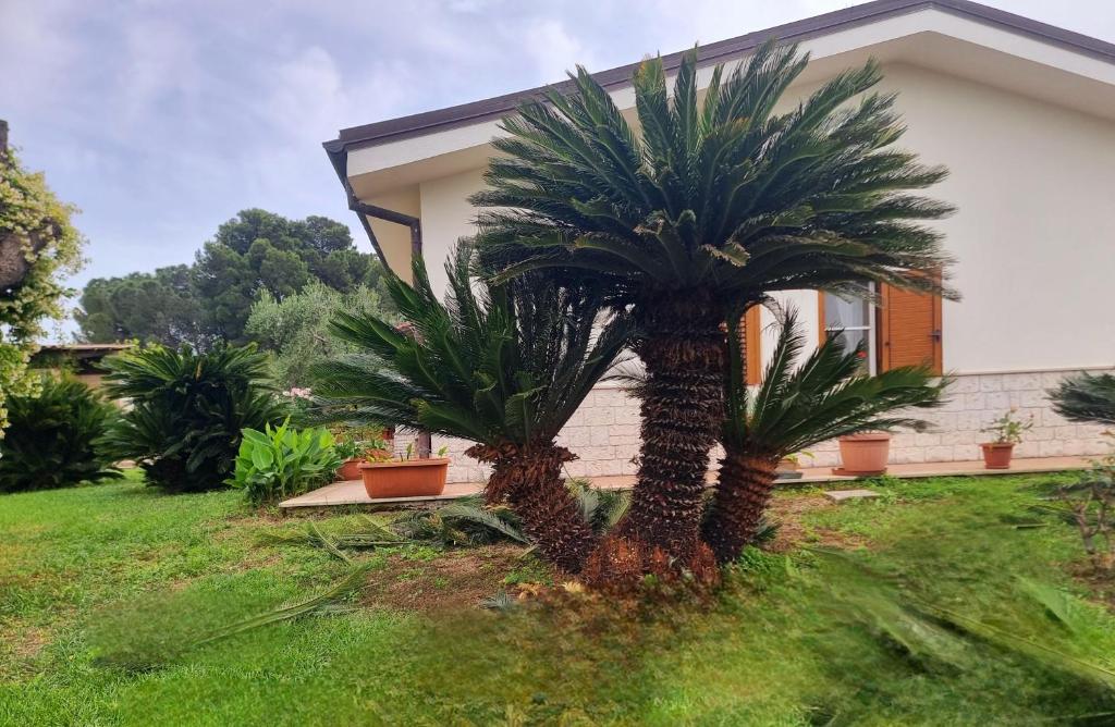 Zahrada ubytování B&B Rosa podere 28