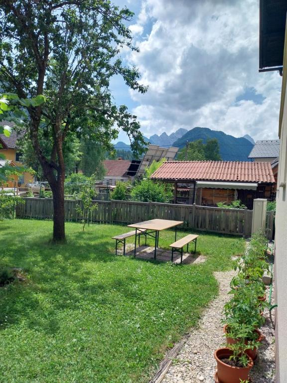 Příroda nedaleko apartmánu