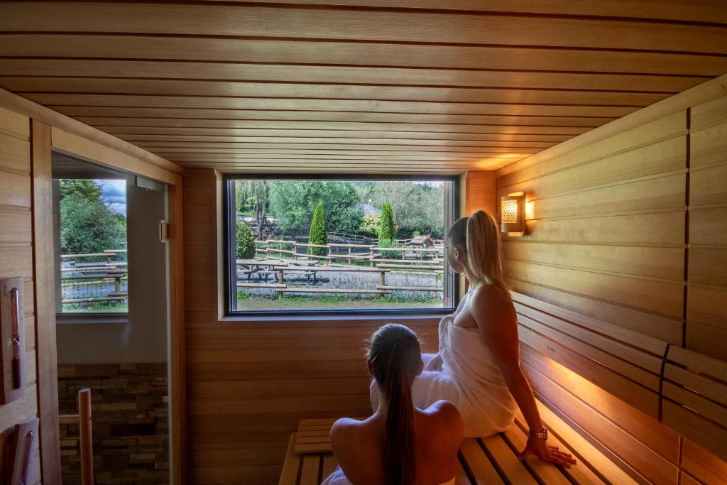 Fotografie z fotogalerie ubytování Logis Hôtel Le Régal & Spa v destinaci Saint Die