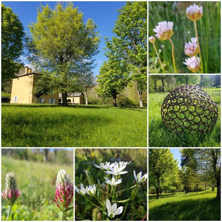 Zahrada ubytování Lou Prat