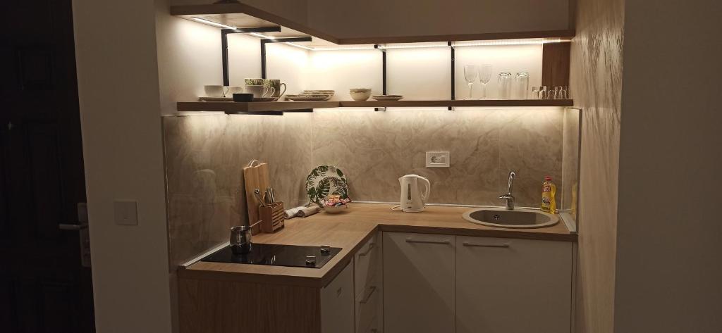 Apartman Mihailo - One-Bedroom Apartment