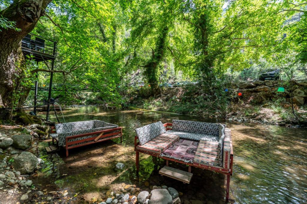 due panche sedute accanto a un fiume con alberi di Yörük Park Pansiyon a Kemer