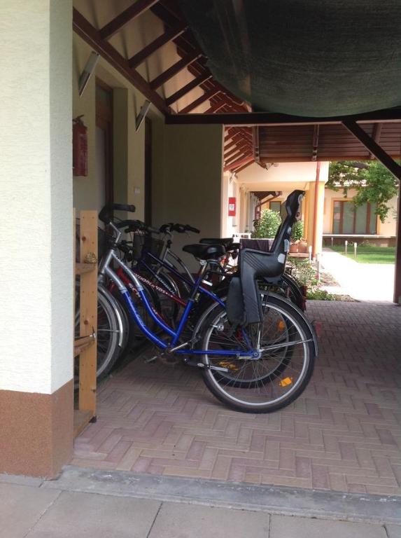 Jazda na bicykli v okolí ubytovania Öregtölgy Panzio