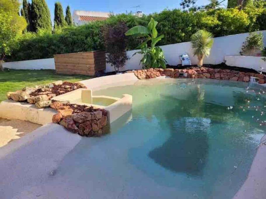 - une piscine dans une arrière-cour avec un mur de roche dans l'établissement Maison Tia, à Cassis