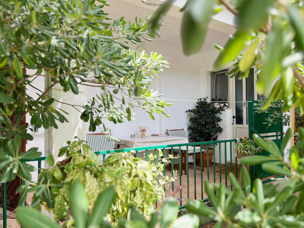 Zahrada ubytování Room Tai - Spacious and Comfy with Private Terrace