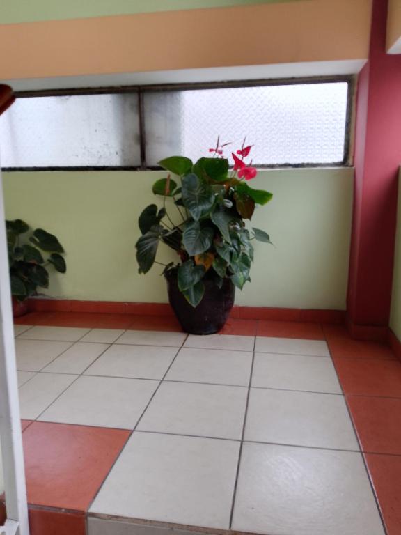 Fotografie z fotogalerie ubytování Hotel Amazonia y sol v destinaci Baños