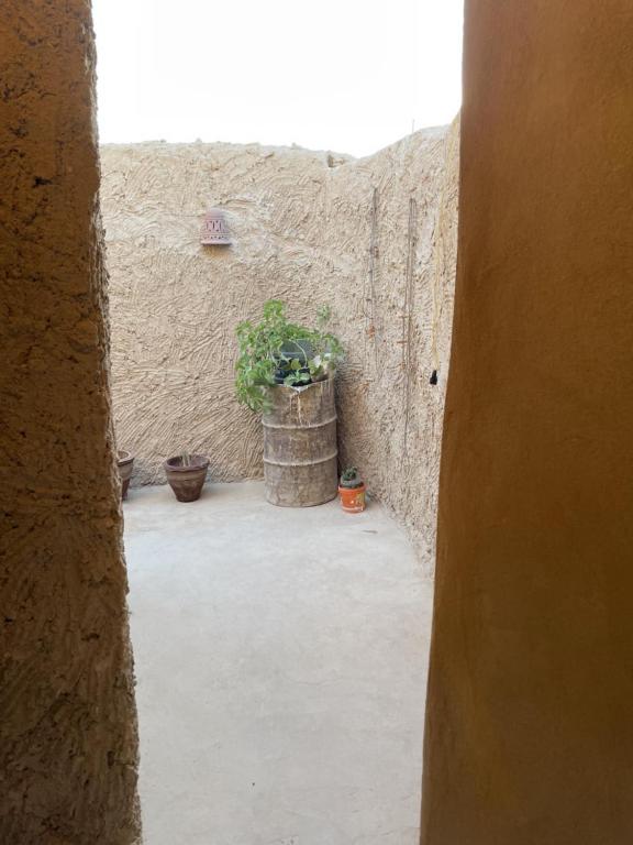 Fotografie z fotogalerie ubytování Lotus House v destinaci siwa oasis