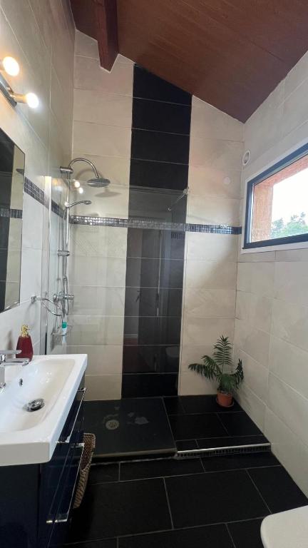 Twin Pines Camino Norte - 9