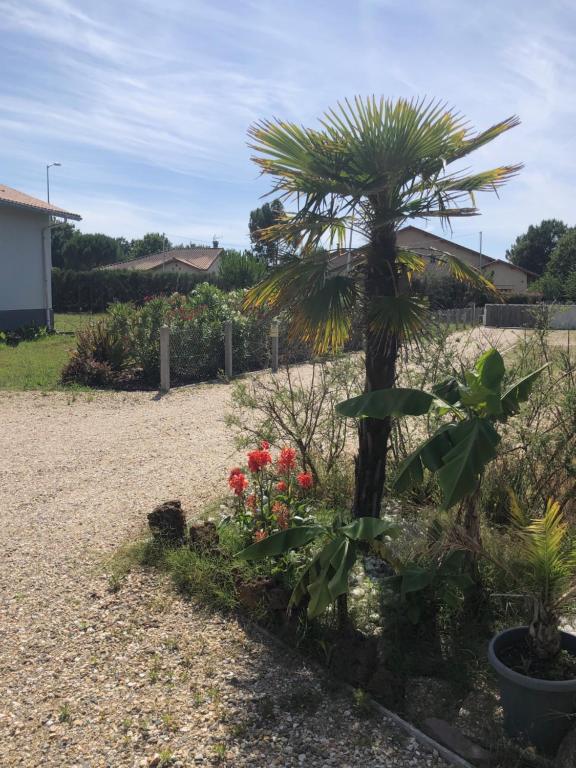 Zahrada ubytování Les logis d'argent Studio indépendant Parking Entrée autonome Linge de Lit et Serviettes Wifi fibre TV connectée