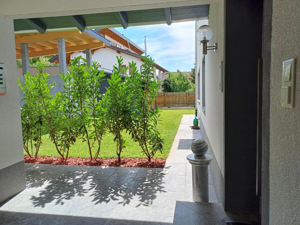 Zahrada ubytování Ferienwohnung am Waldweg