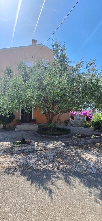 Apartman Milka