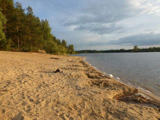 Příroda nedaleko kempu