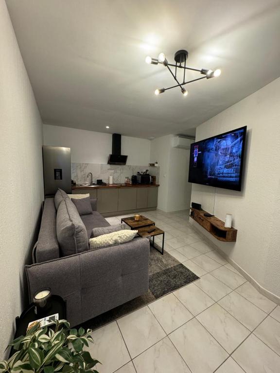 un salon avec un canapé et une télévision à écran plat dans l'établissement Jolie deux pièces au cœur de Nice, à Nice