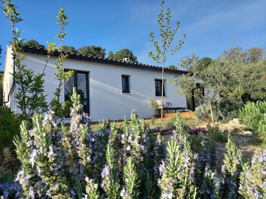 une maison avec un jardin devant dans l'établissement Maison moderne avec jardin et jacuzzi, à La Bouilladisse