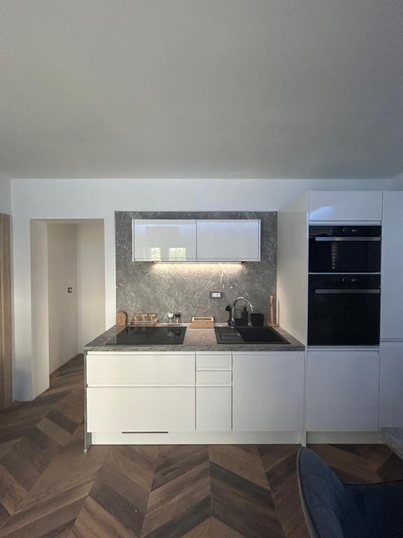 Kuchyň nebo kuchyňský kout v ubytování Delfa Luxe Suite