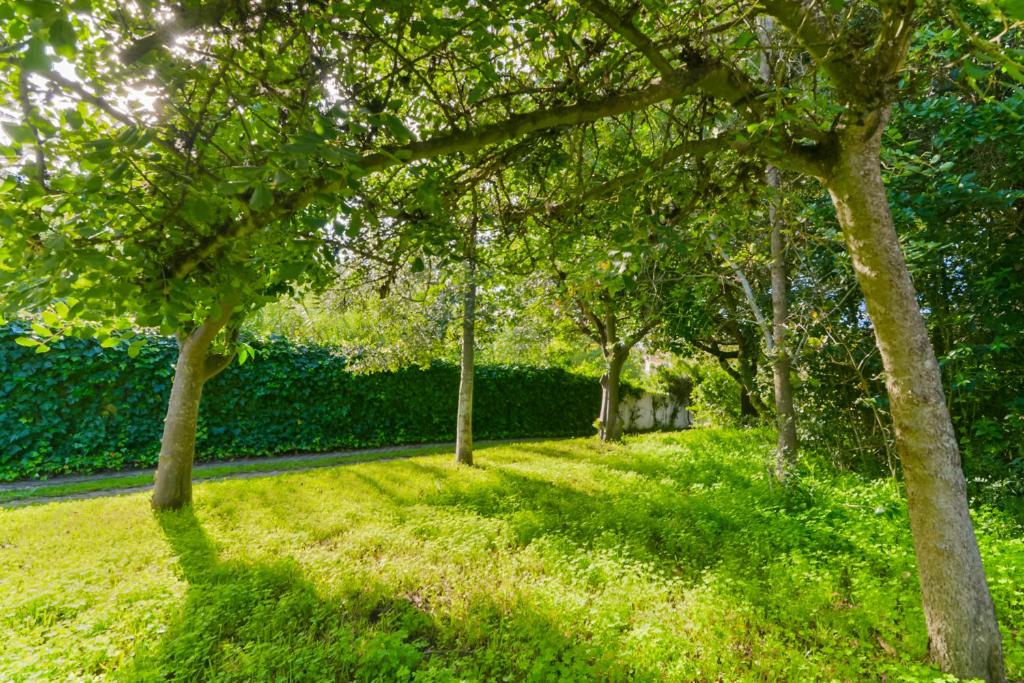 a group of trees in a field of grass at Beach & Nature Villa with Amazing Pool by TimeCooler in Setúbal
