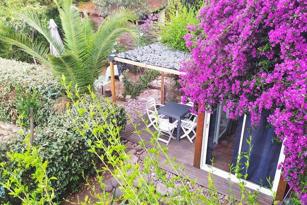 un jardin avec des fleurs violettes et une terrasse en bois dans l'établissement Appartement T2 entre mer et montagne proche Calvi, à Calenzana
