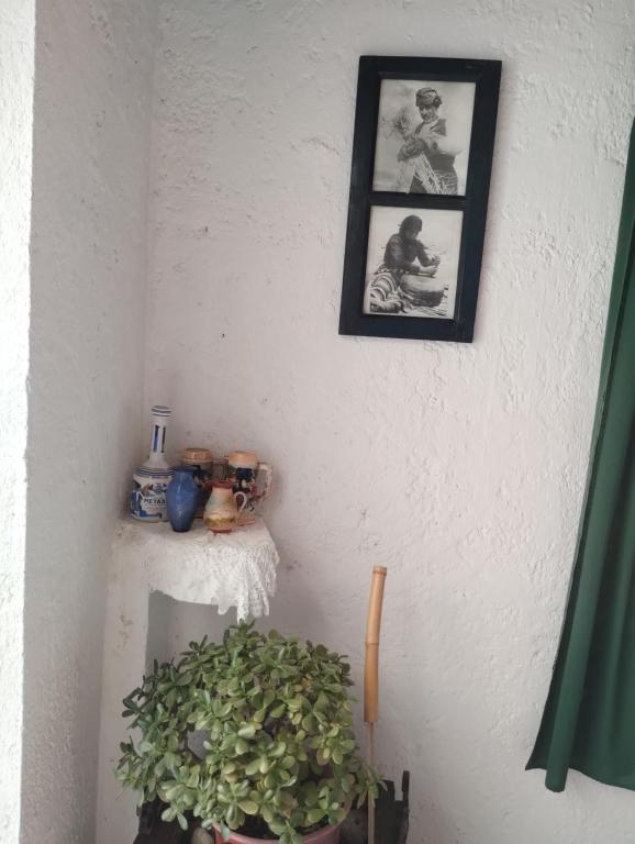 Fotografie z fotogalerie ubytování Oleander's Garden Traditional Cretan Cottage v destinaci Ferma