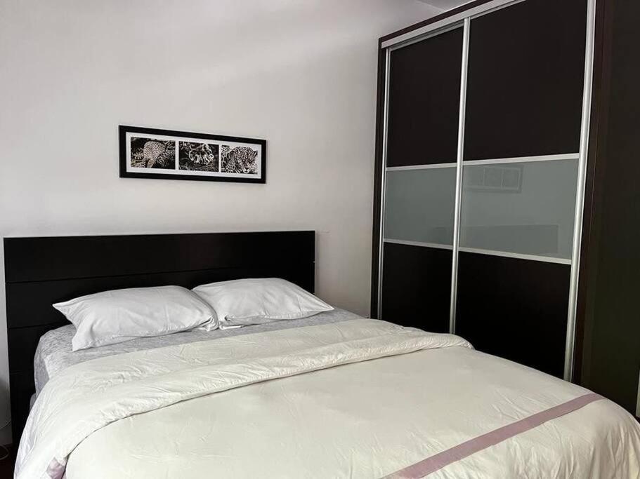 رزرو هتل و هاستل، Condesa Residence Amsterdam D Sunny 2 Bed 1 Bath Apt در Condesa