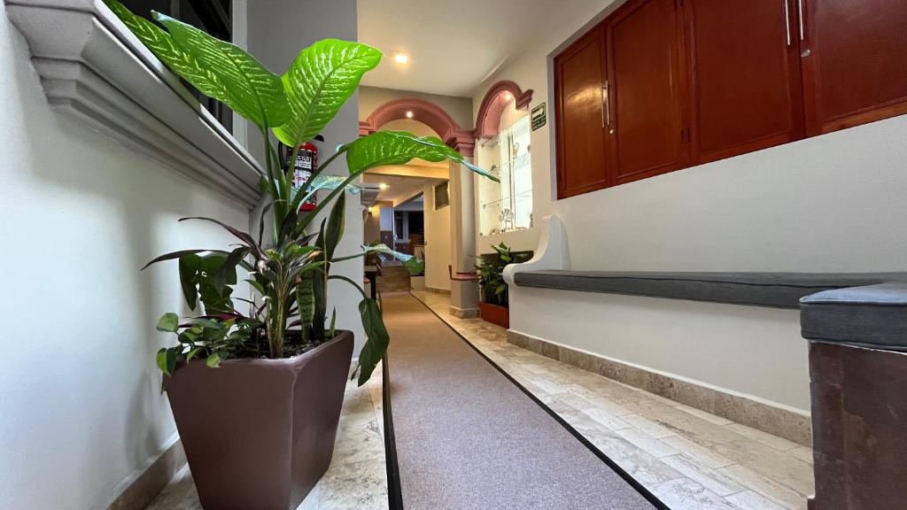 Fotografie z fotogalerie ubytování Hotel Quirasco v destinaci Xalapa
