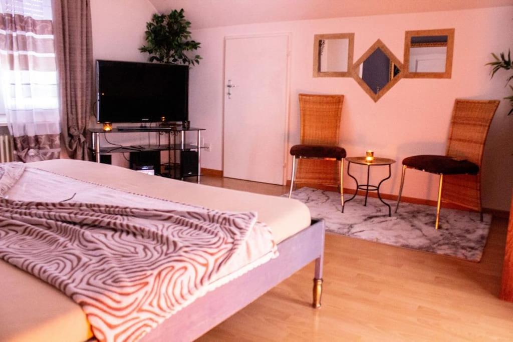 Wunderschöne Studio-Wohnung in Winterthur - Resim 4