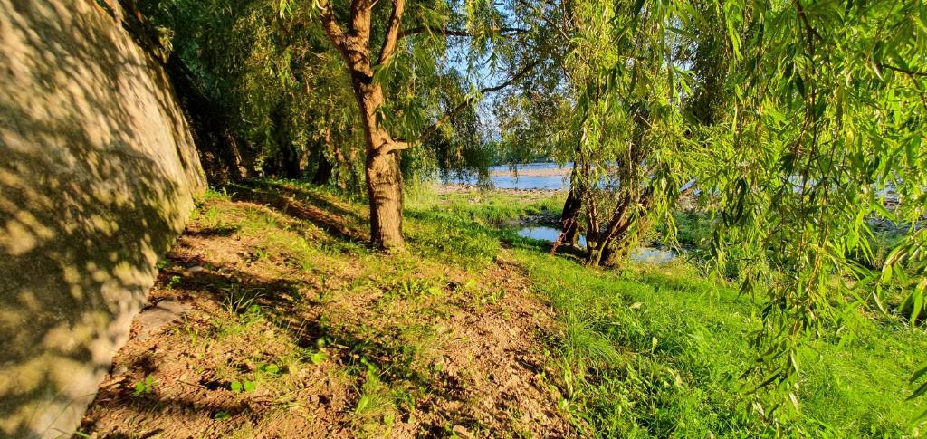 Příroda nedaleko apartmánu
