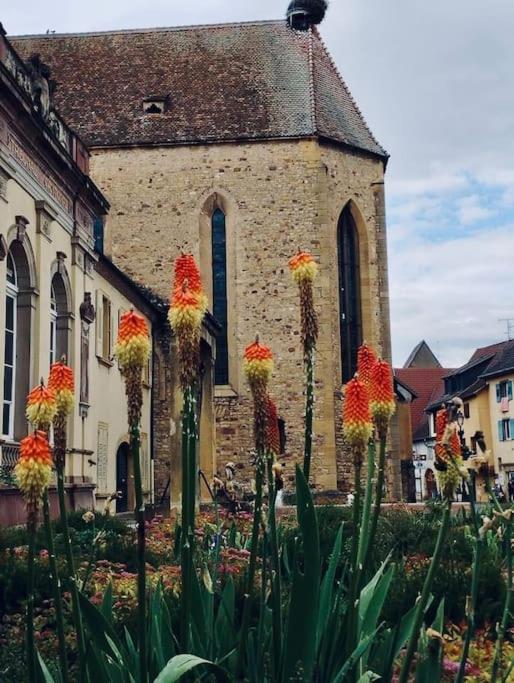 Les gites de la poterne – photo 6