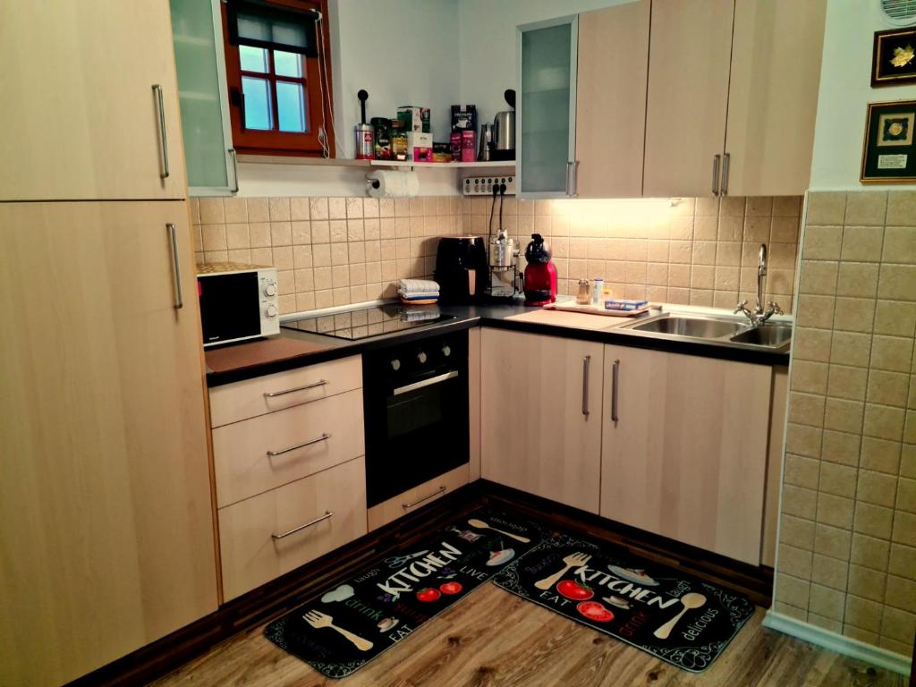 Kuchyň nebo kuchyňský kout v ubytování Apartment ANAYA paradise for families