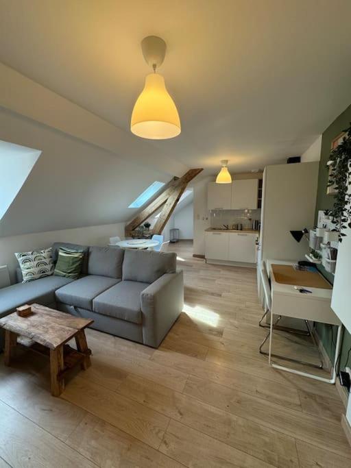 un salon avec un canapé et une table dans l'établissement Le Petit Nid de Colmar - Parking privé, à Colmar