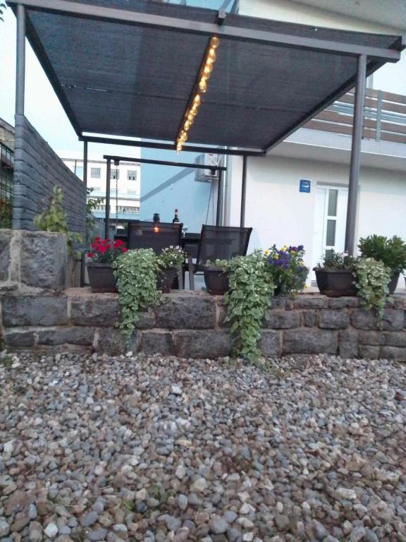 Zahrada ubytování Apartman Basarac
