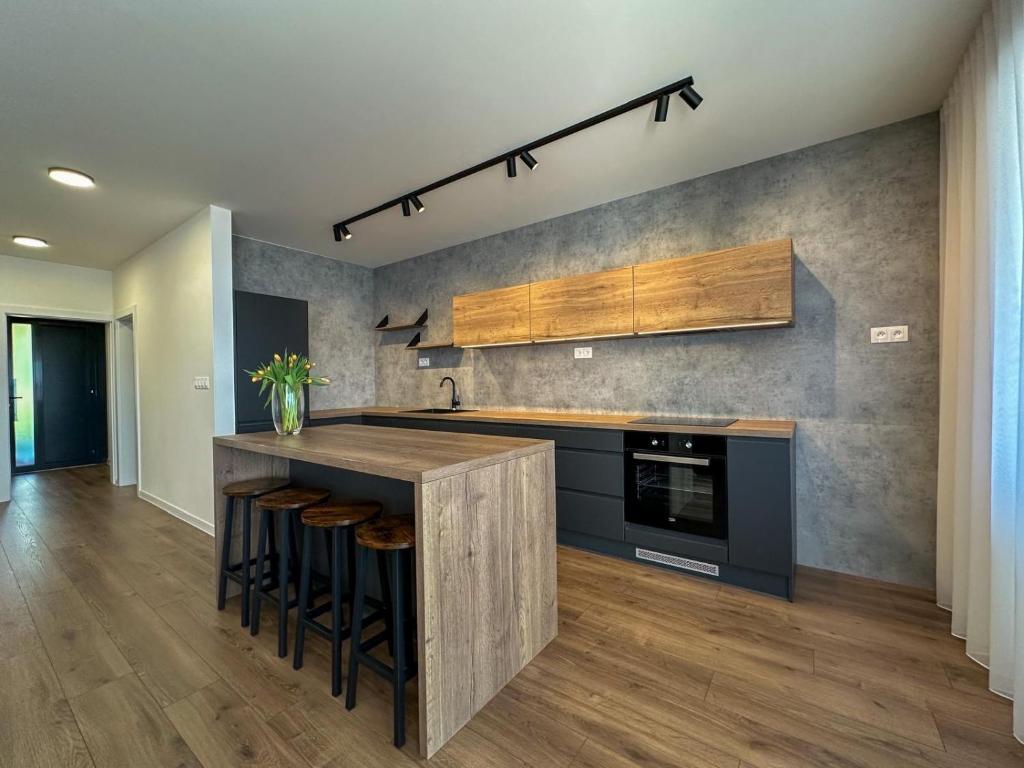 Kuchyň nebo kuchyňský kout v ubytování OLIS Apartment Bojnice