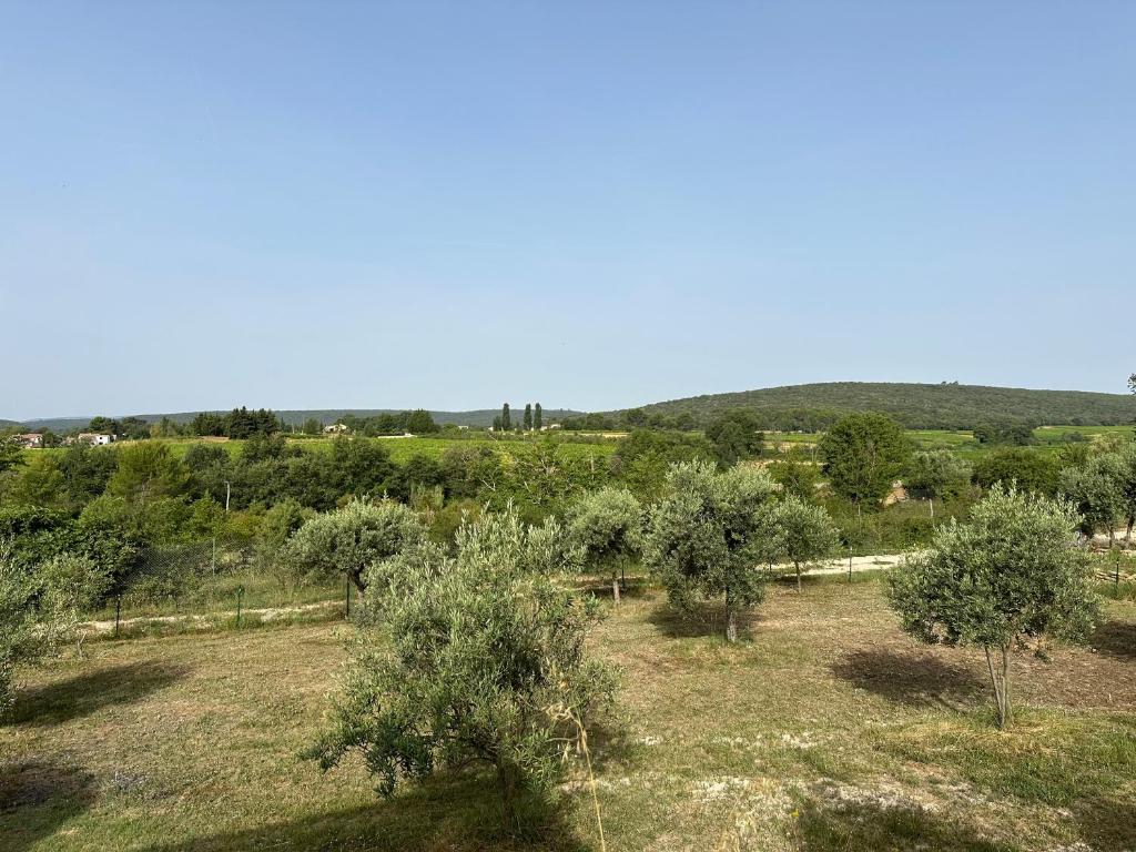 un champ d’arbres et de buissons avec une montagne en arrière-plan dans l'établissement Gîte des cerisiers, à Brue-Auriac