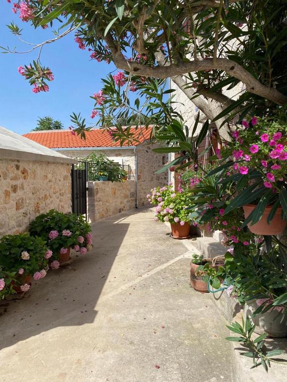 a garden with flowers in pots and a building at Villa Rosa, Dracevica 46a, Brac in Dračevica