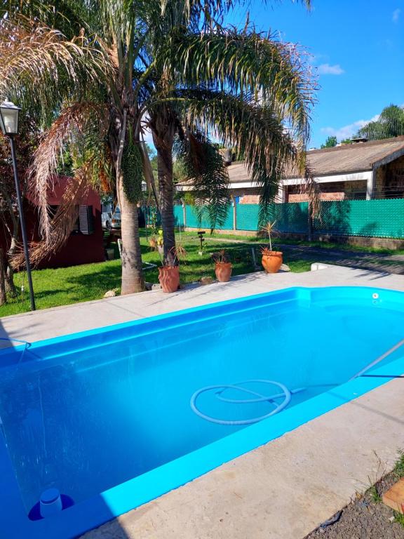 a blue swimming pool in a yard with palm trees at Departamento Monoambiente 3 Del Sauce in Paraná
